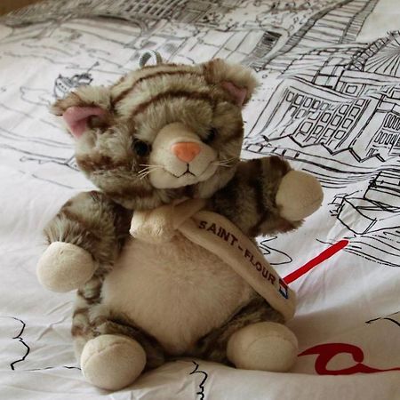La Maison Des Chats Saint-Mary-le-Plain 外观 照片
