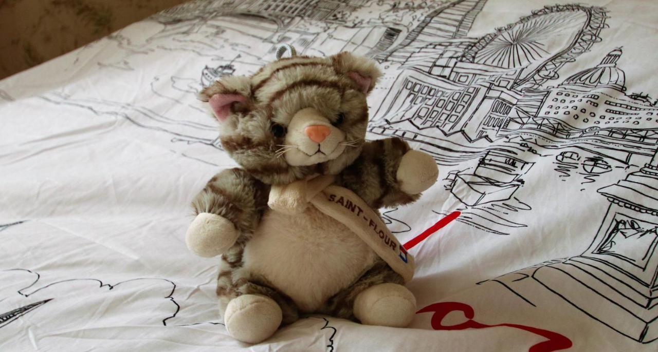 La Maison Des Chats Saint-Mary-le-Plain 外观 照片