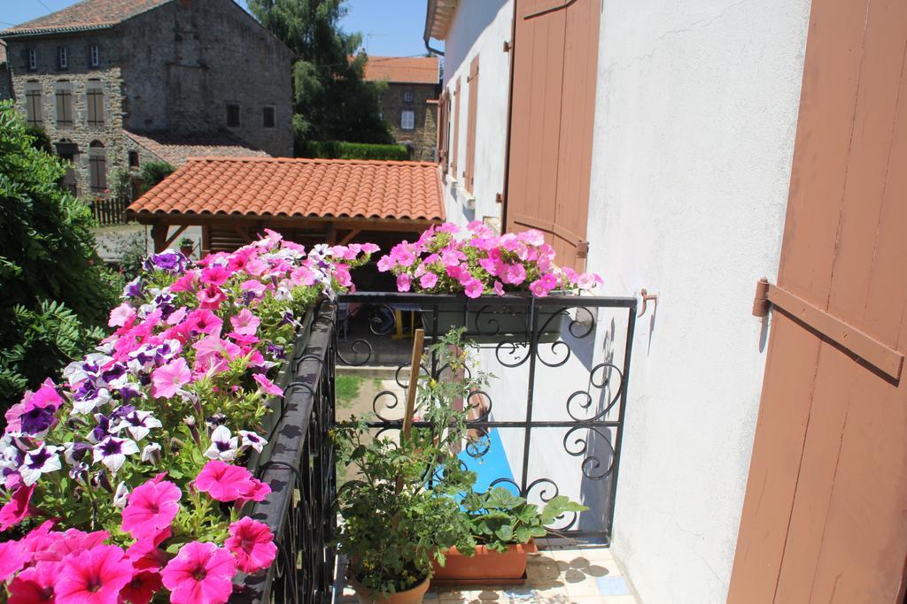 La Maison Des Chats Saint-Mary-le-Plain 外观 照片