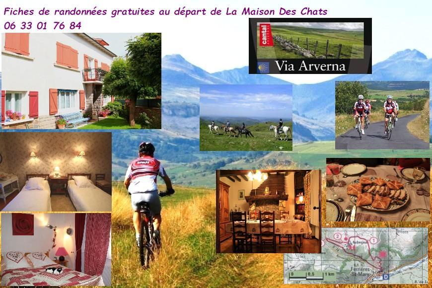La Maison Des Chats Saint-Mary-le-Plain 外观 照片